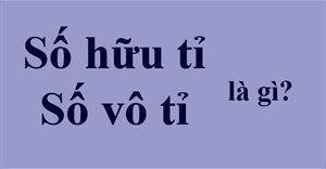 Số hữu tỉ là gì? Số vô tỉ là gì?