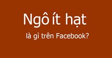 Ngô ít hạt là gì trên Facebook?
