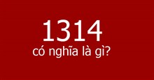 1314 là gì?
