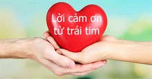 Hình ảnh cảm ơn đẹp, chân thành từ trái tim