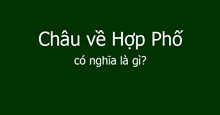 Châu về Hợp Phố có nghĩa là gì?