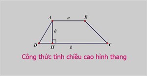 Công thức tính chiều cao hình thang: thường, vuông, cân
