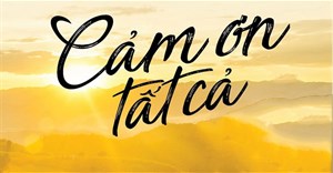 99+ lời cảm ơn hay, chân thành nhất trong cuộc sống