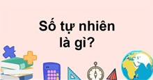 Số tự nhiên là gì? Tập hợp N và N* khác nhau như thế nào?