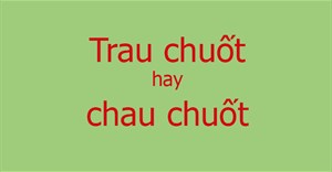 Trau chuốt hay chau chuốt hay trau truốt mới đúng chính tả?