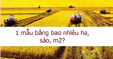 1 mẫu bằng bao nhiêu ha, sào, m2?