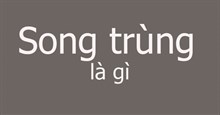 Song trùng là gì?