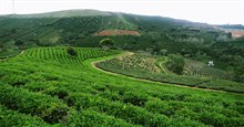 10 câu trắc nghiệm về các tỉnh thành của Việt Nam