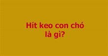 Keo con chó là gì? Hít keo con chó là gì?