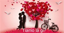 Tiamo là gì?