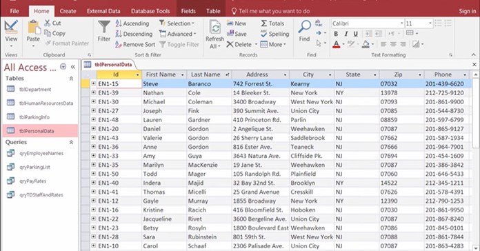 Microsoft Access 2024