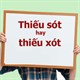 Thiếu sót hay thiếu xót đúng chính tả?