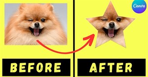 Cách cắt ảnh thành hình tròn trên Canva