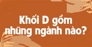 Khối D01 thi môn nào, học ngành nào?