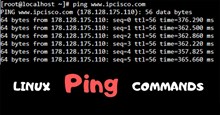 Cách sử dụng lệnh Ping trong Linux