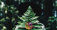 Cách ẩn tài khoản Instagram và ngăn người dùng khác tìm thấy bạn