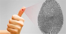 Tại sao dấu vân tay của mỗi người là độc nhất vô nhị?