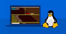 4,05% máy tính toàn cầu đang sử dụng Linux