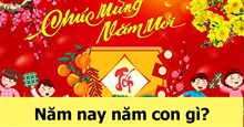 Năm 2026 là năm con gì? Tổng quan tử vi và mệnh ngũ hành năm Bính Ngọ