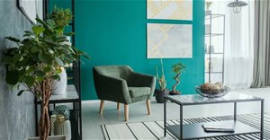 Mẹo thiết kế cây cảnh trong nhà làm không gian sống của bạn đẹp hơn