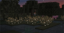 Cách lấy Bụi Cây Đom Đóm trong Minecraft