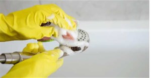 Nên vệ sinh vòi hoa sen bao lâu một lần?