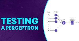 Thử nghiệm Perceptron